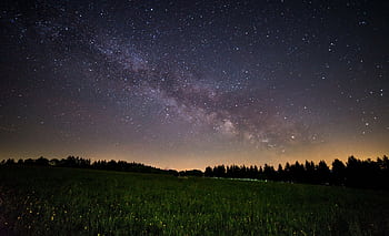 A breathtaking view of a starry night sky over a quiet field, showcasing the Milky Way. HD wallpaper