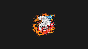 Us Eagle Bird Minimal , eagle, birds, artist, artwork, digital-art, minimalism, minimalist, dark, black, oled HD wallpaper