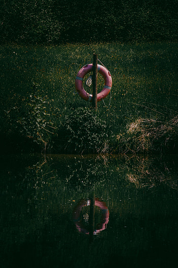 Nature, Water, Rivers, Grass, Lake, Reflection, Life Buoy, Lifebuoy HD phone wallpaper