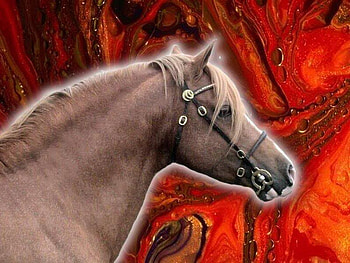 Fire Pony, horses, nature, ponies, fire HD wallpaper