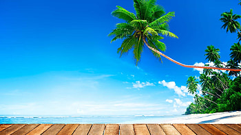 Beach with natural color shades, Beach, Nature, beach , Coconut tree HD wallpaper