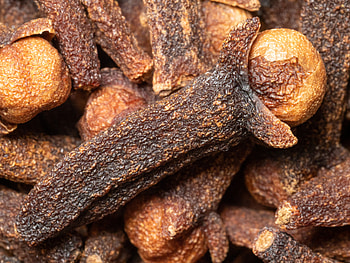 Close-up, Cloves HD wallpaper