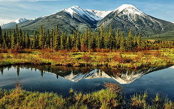 Beautiful Scenery, landscape, trees, nature, mountain HD wallpaper