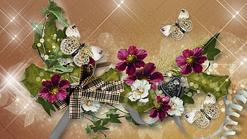 Flowers and Vines, firefox persona, ribbon, fall, stars, ivy, butterfly, autumn, flowers, bow HD wallpaper