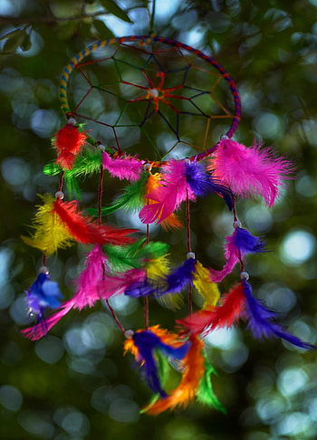 Feather, Miscellanea, Miscellaneous, Multicolored, Motley, Dream Catcher, Dreamcatcher, Talisman, Mascot HD phone wallpaper