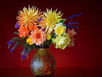 Plants, Flowers HD wallpaper