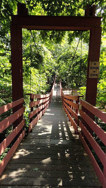 Silver Dollar City, Swinging bridge, Branson vacation, Missouri HD phone wallpaper