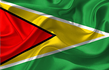 Flag , National symbol, Guyanese pride, Patriotic display HD wallpaper