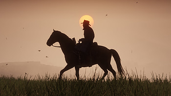 Red Dead Redemption 2, red-dead-redemption-2, 2018-games, games, ps-games, horse HD wallpaper