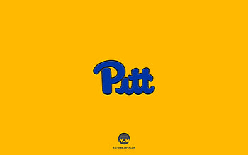 Pittsburgh Panthers, yellow background, American football team, Pittsburgh Panthers emblem, NCAA, Pittsburgh, USA, American football, Pittsburgh Panthers logo HD wallpaper