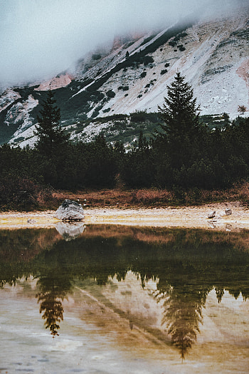 Nature, Trees, Rocks, Lake, Reflection, Spruce, Fir HD phone wallpaper