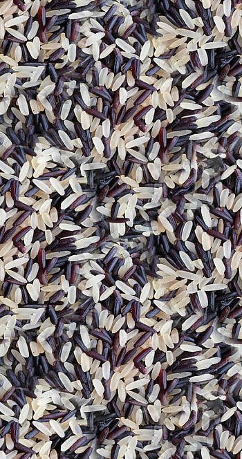 White black rice, Grains HD phone wallpaper