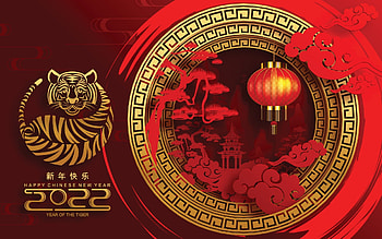 Chinese New Year, celebrate, chinese, symbol, new year HD wallpaper