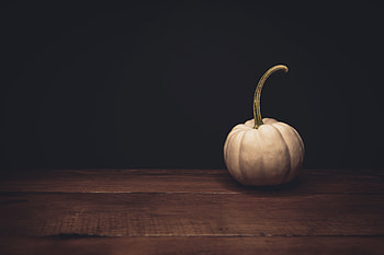 Food, Pumpkin, Dark, Ripe HD wallpaper