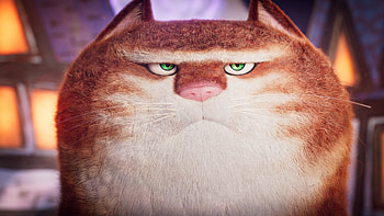Maurice, The Amazing Maurice HD wallpaper