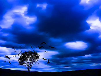 Mystic tree, blue, mystic, background, clouds, sky, tree HD wallpaper