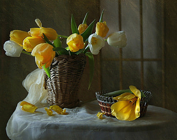 Still Life , still life, white, decoration, yellow, flowers, tulips HD wallpaper