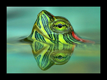 Cool graphy, cool, graphy HD wallpaper