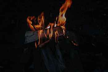 Fire, Bonfire, Dark, Flame, Firewood, Combustion HD wallpaper