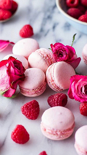 Pastel macaroons, Delicate and sweet, Blooming rose, Elegant and indulgent HD phone wallpaper