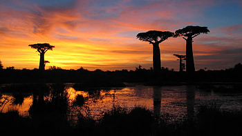 Madagascar Landscapes, Stunning Views, -Perfect Scenes, Scenic Splendor HD wallpaper