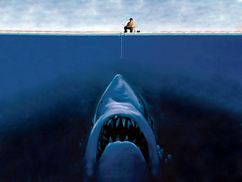 Funny, People, Sharks HD wallpaper