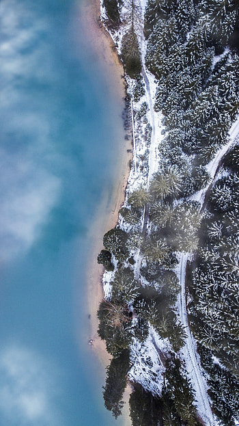 Winter, Nature, Trees, Ice, Snow, View From Above, Forest, Fog HD phone wallpaper