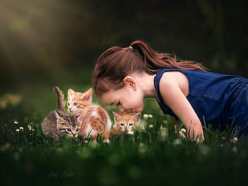 Cute Girl, Friendship, graphy, Girl, Kitten HD wallpaper