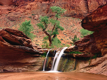 Nature, Trees, Sand, Waterfall, Canyons HD wallpaper