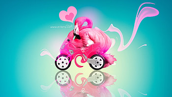 Flamingo moto, blue, flamingo, pink, tony kokhan, bird, fantasy, motorcycle, pasari HD wallpaper