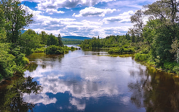 River, reflection, clouds, trees, nature HD wallpaper
