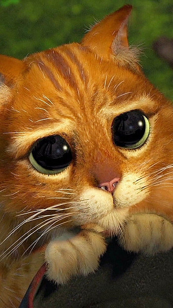 Puss in Boots, Shrek HD phone wallpaper