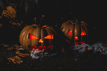 Halloween Pumpkins, Vegetable, Orange, Dark, Pumpkins, Halloween, Black, Pumpkin HD wallpaper