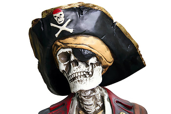 Pirate With Hat Statue Portrait, pirate, skull HD wallpaper