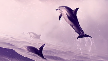 Dolphin Jumping Out Of Water Digital Art, dolphin, fish, animals, artist, artist, artwork, digital-art, deviantart HD wallpaper