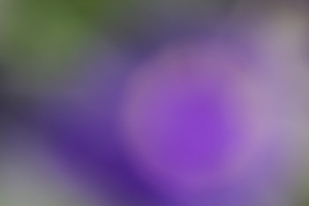 Gradient, blur, bluish, abstract HD wallpaper