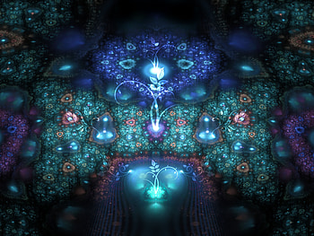 Abstract, Flowers, Patterns, Form, Fractal, Forms HD wallpaper