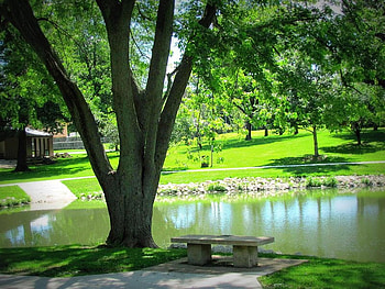 Sitting in the Park, trees, sky, nature, grass, lake HD wallpaper