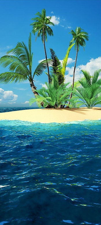 LoveLife, cloud, sky, palm, beach HD phone wallpaper