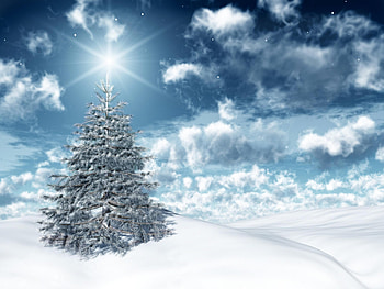Holidays, Winter, Stars, New Year, Fir-Trees, Christmas, Xmas HD wallpaper