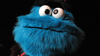 Funny Cookie Monster, Hilarious , Comedy background, Amusing character HD wallpaper
