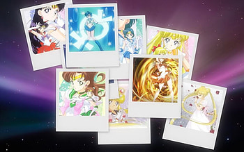 Sailor Moon Collage, sexy, sailormoon, hot, sailor mars, cute, girl, sailor venus, collage, sailor mercury, anime girl, sailor jupiter, anime, group, girls, female HD wallpaper