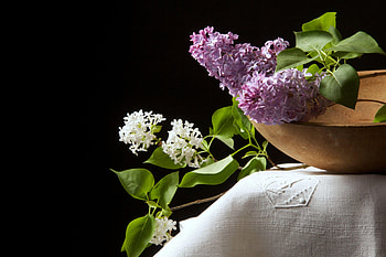 Flowers, Lilac, Bowl, Black Background, Tablecloth HD wallpaper