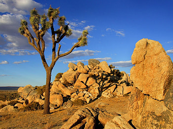 deserto, ceu, nuvens, natureza HD wallpaper