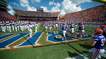 Gators For . Florida Gators HD wallpaper