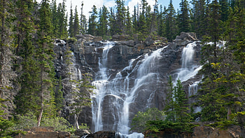 Tangle Creek Falls, Jasper National Park, river, trees, cascades, canada, forest HD wallpaper