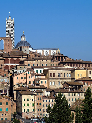 Siena, and , backgrounds, Explore Siena HD phone wallpaper