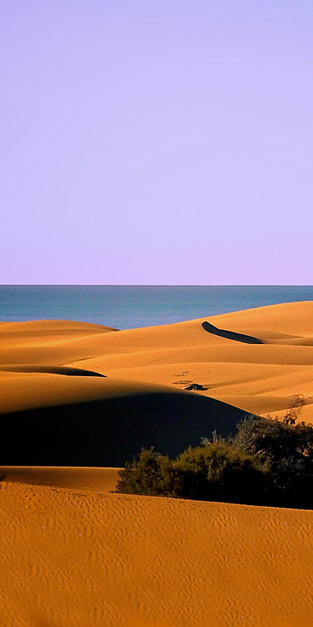 Dunes by the sea, Coastal desert beauty, Nature's harmony, Mesmerizing landscape HD phone wallpaper