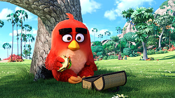 Angry Birds Main Character, angry-birds, birds, movies, animated-movies, 2016-movies, red, the-angry-birds-movie HD wallpaper