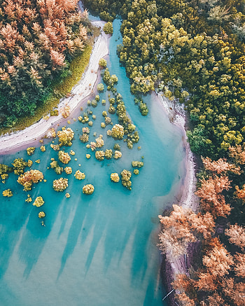 Bay, aerial view, forest HD phone wallpaper